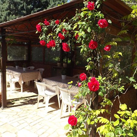 B&B Villa Lena Turi Exterior photo