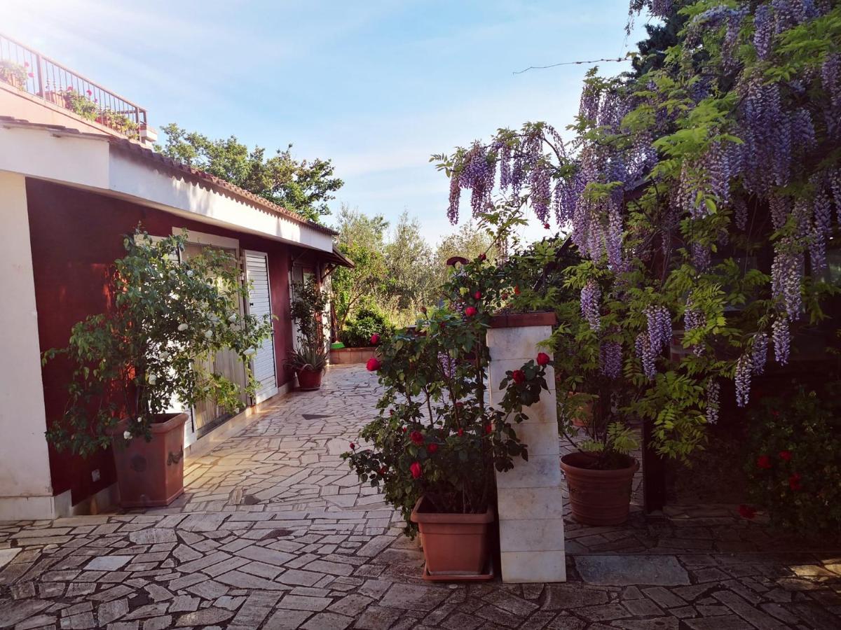 B&B Villa Lena Turi Exterior photo
