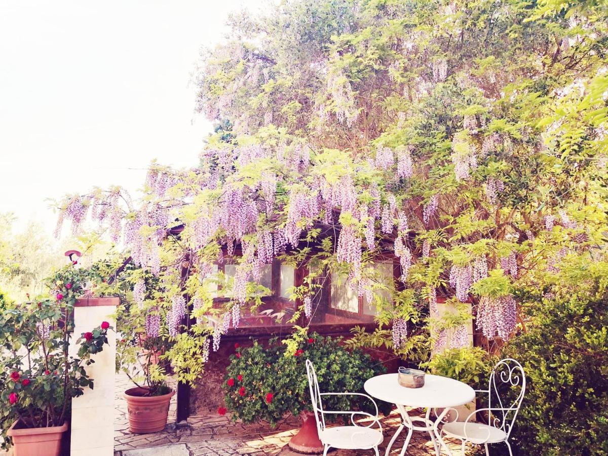 B&B Villa Lena Turi Exterior photo