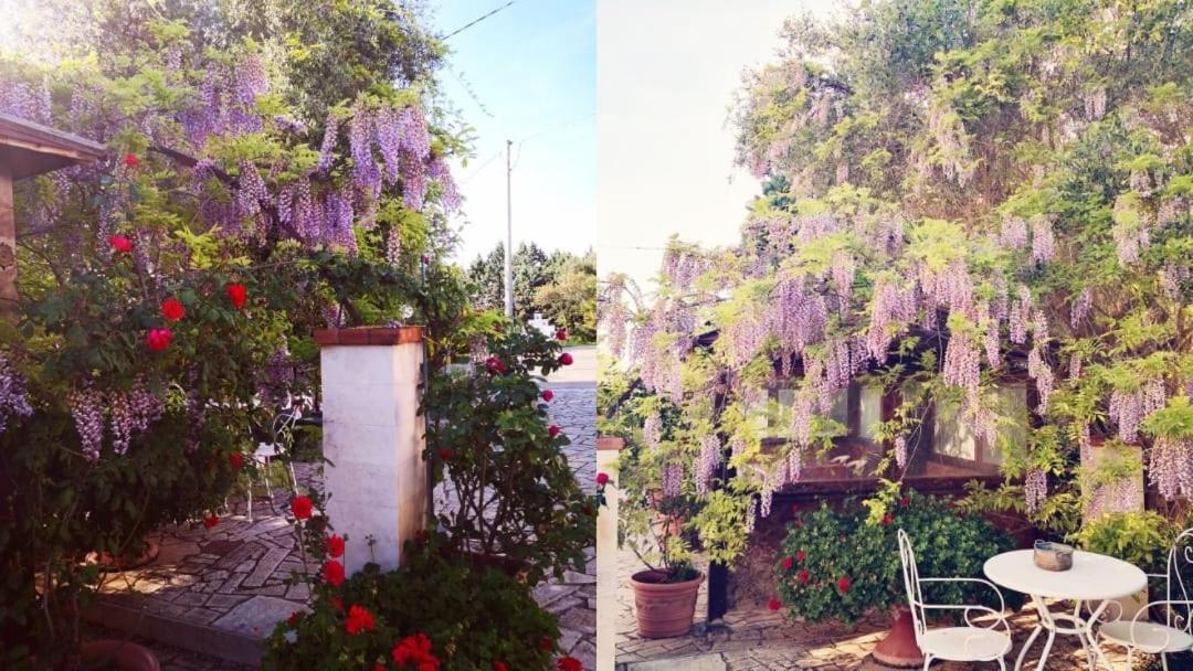 B&B Villa Lena Turi Exterior photo