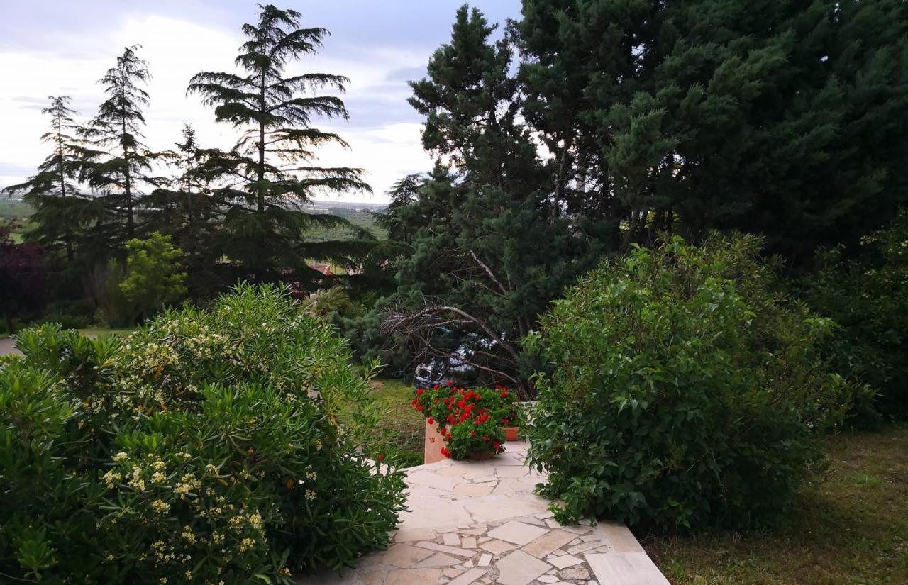 B&B Villa Lena Turi Exterior photo