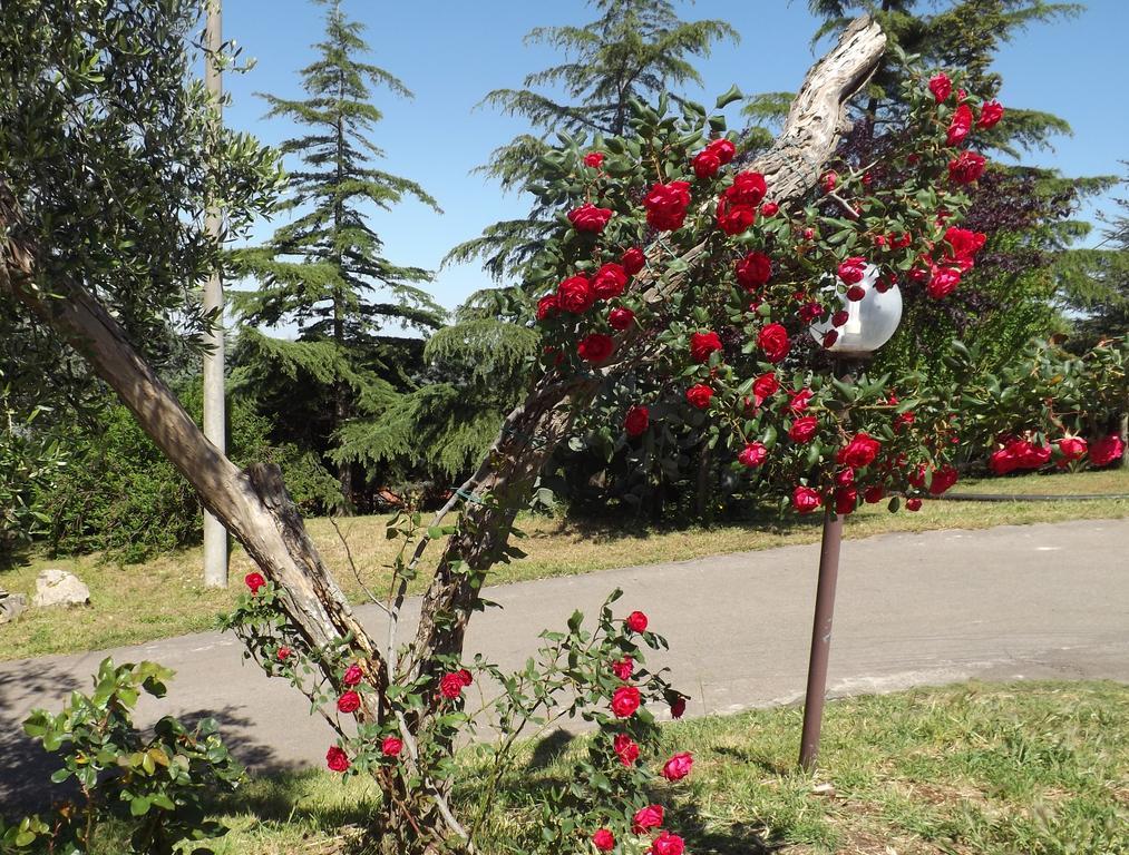 B&B Villa Lena Turi Exterior photo